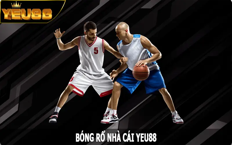 Bóng Rổ - Cá Cược Đầy Kịch Tính Với Mức Trả Cược Hấp Dẫn