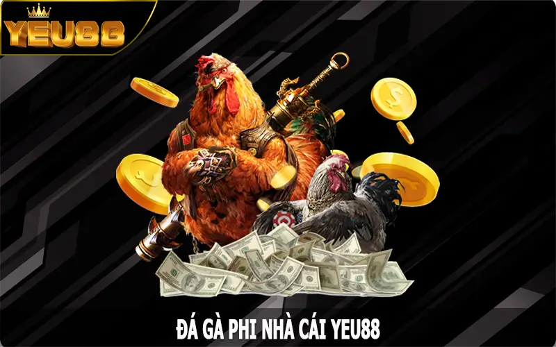 Đá Gà Phi – Hình Thức Giải Trí Đối Kháng Hấp Dẫn Nhất Yeu88