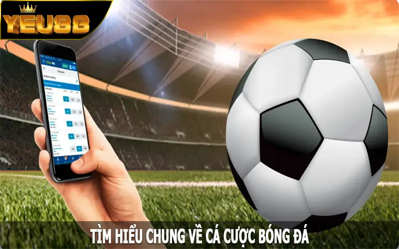 Tìm hiểu chung về cá cược bóng đá tại Yeu88