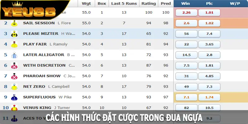 Các hình thức đặt cược trong đua ngựa tại Yeu88