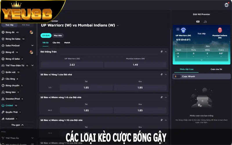 Các loại kèo cược bóng gậy