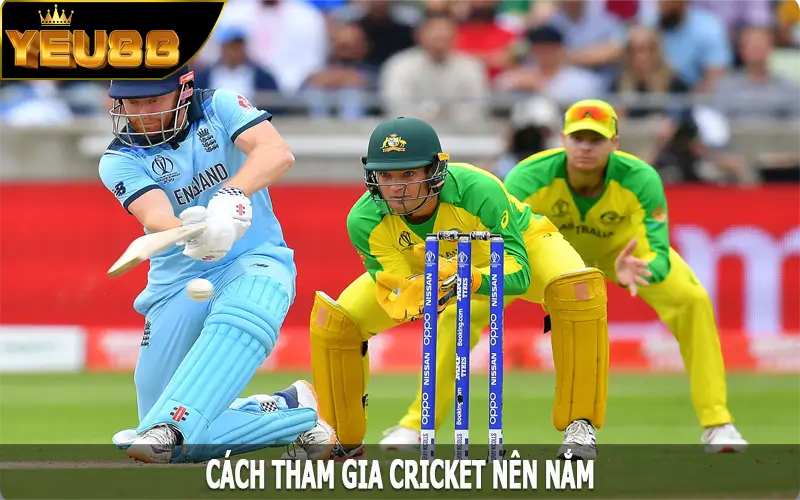 Cách tham gia Cricket nên nắm