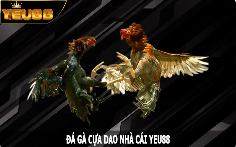 Đá Gà Cựa Dao – Trải Nghiệm Bộ Môn Giải Trí Hấp Dẫn Yeu88
