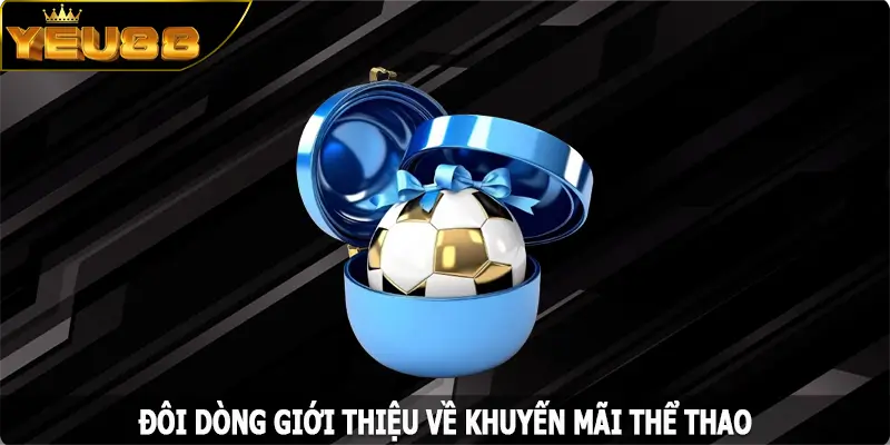Đôi dòng giới thiệu về khuyến mãi thể thao của Yeu88