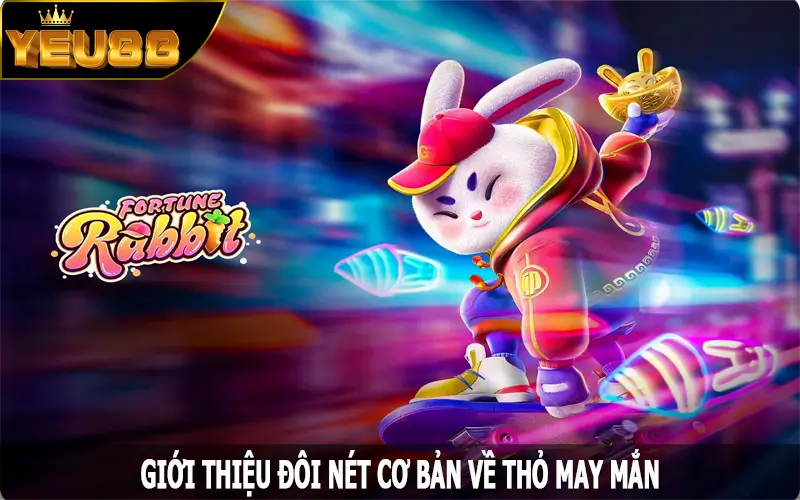 Giới thiệu đôi nét cơ bản về thỏ may mắn