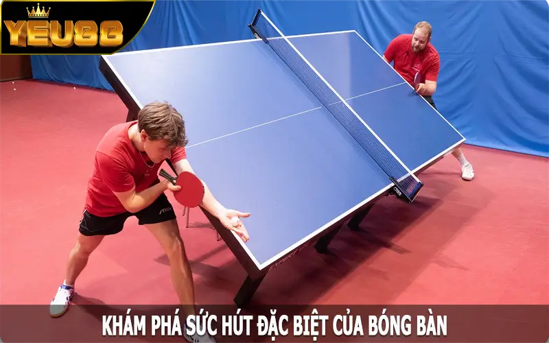 Khám phá sức hút đặc biệt của bóng bàn
