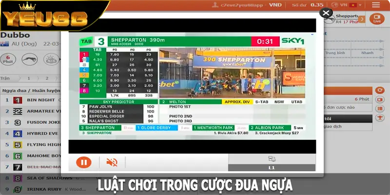 Luật chơi trong cược đua ngựa