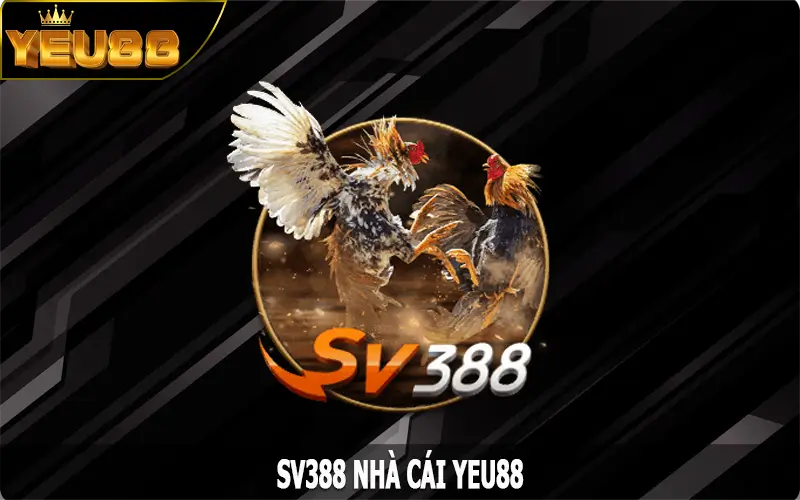 SV388 – Sân Chơi Đá Gà Trực Tuyến Đỉnh Cao Tại Yeu88