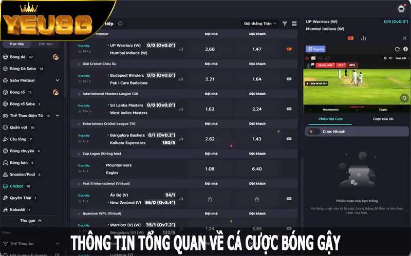 Thông tin tổng quan về cá cược bóng gậy