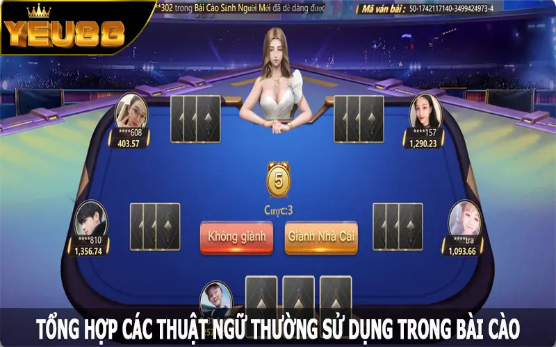 Tổng hợp các thuật ngữ thường sử dụng trong bài cào
