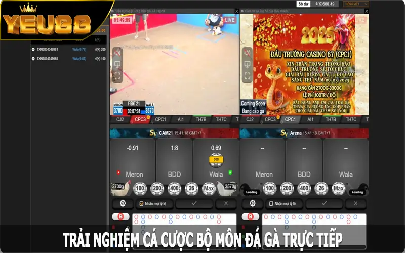 Trải nghiệm cá cược bộ môn đá gà trực tiếp tại Yeu88