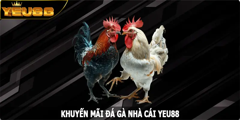 Khuyến Mãi Đá Gà - Những Ưu Đãi Cực Hời Đến Từ Yeu88