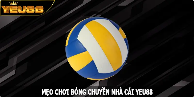 Mẹo Chơi Bóng Chuyền – Chinh Phục Chiến Thắng Cực Dễ