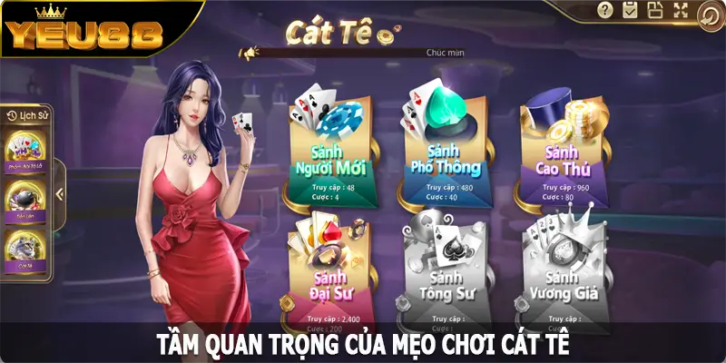 Tầm quan trọng của mẹo chơi Cát Tê