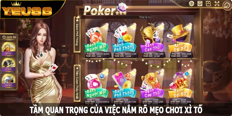 Tầm quan trọng của việc nắm rõ mẹo chơi xì tố