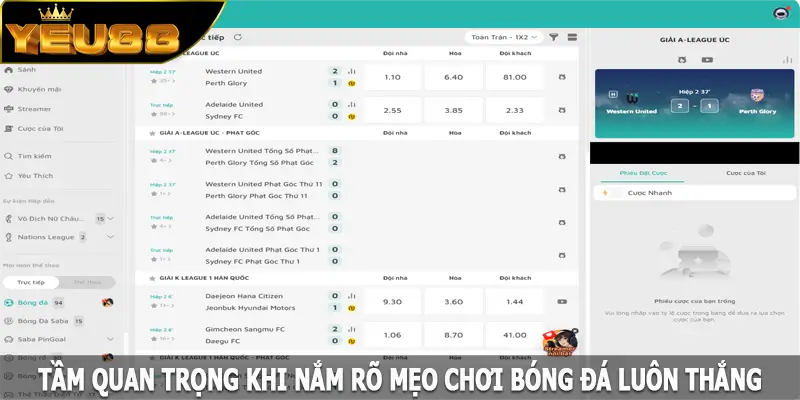 Tầm quan trọng khi nắm rõ mẹo chơi bóng đá luôn thắng