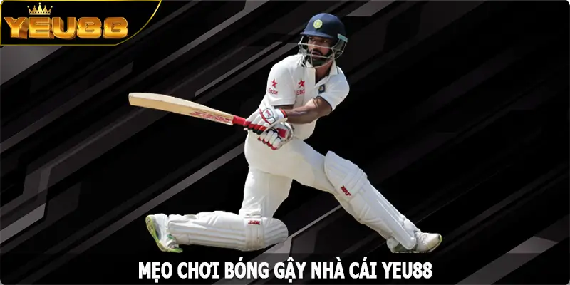 Tăng Tỷ Lệ Thắng Với Mẹo Chơi Bóng Gậy Trên Địa Chỉ Yeu88