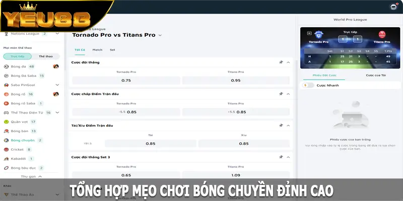 Tổng hợp mẹo chơi bóng chuyền đỉnh cao