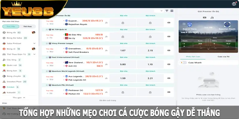 Tổng hợp những mẹo chơi cá cược bóng gậy dễ thắng