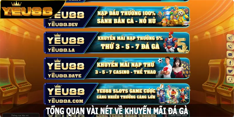 Tổng quan vài nét về khuyến mãi đá gà